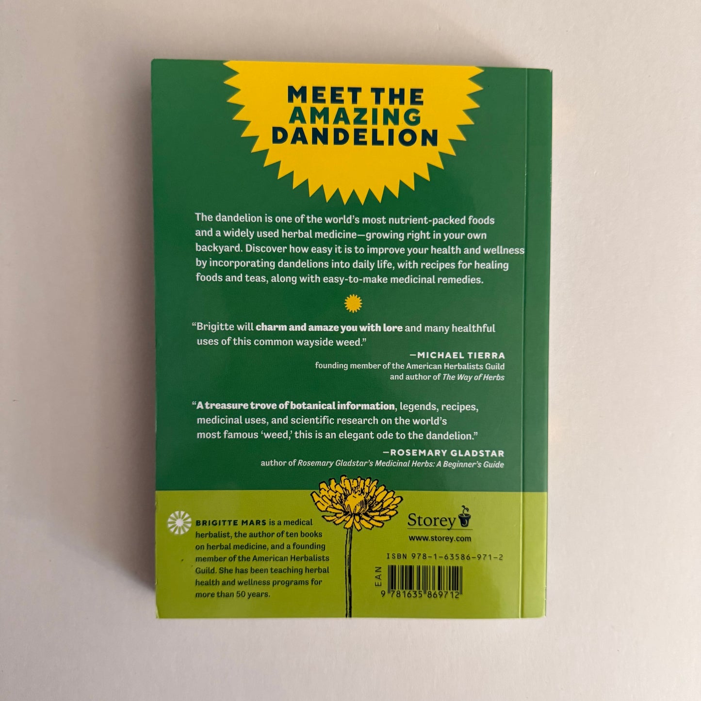 Dandelion Medicine – Forage, Feast, and Nourish Yourself with This Extraordinary Weed