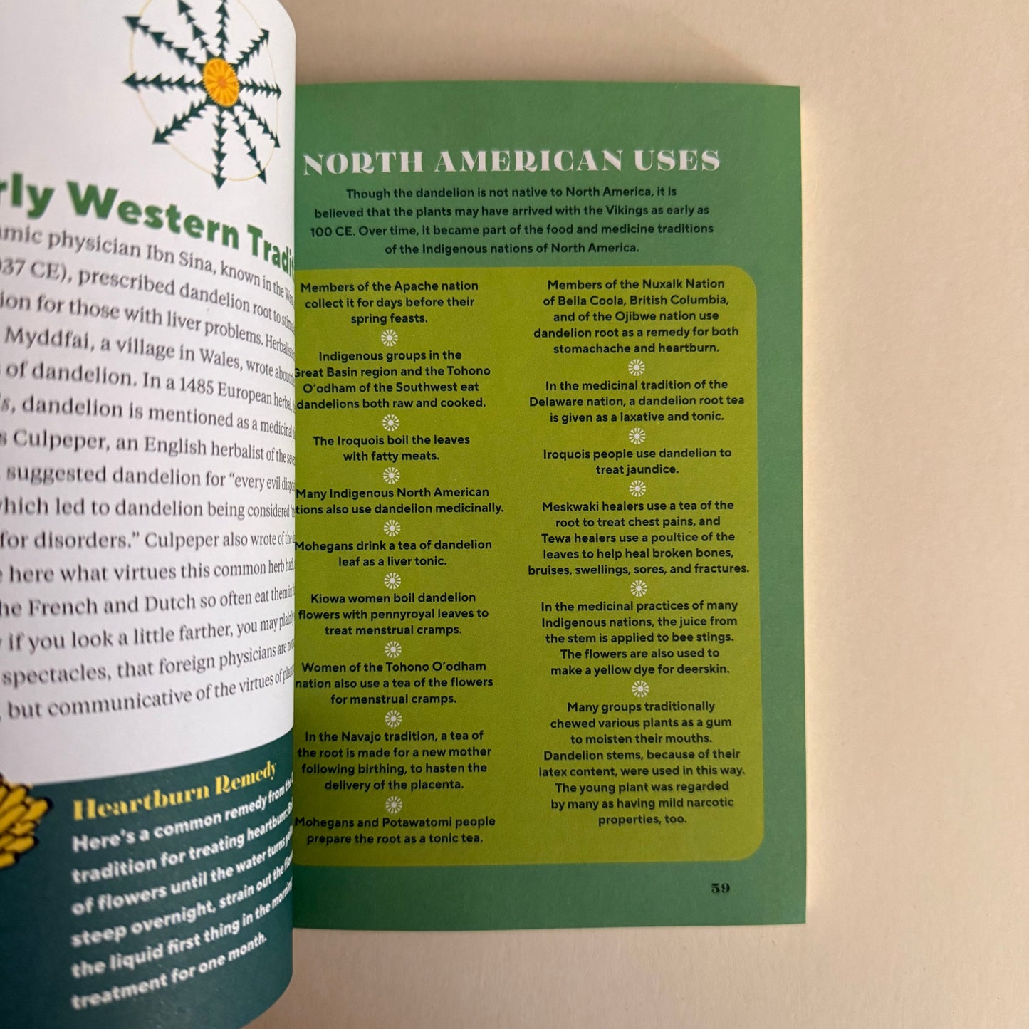 Dandelion Medicine – Forage, Feast, and Nourish Yourself with This Extraordinary Weed