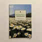 Wildflowers on North Carolina Roadsides – Official NCDOT Guidebook (Roadside Environmental Unit)