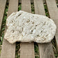 Coral Limestone Reef Rock – 1.3 lb Fossilized Shell Stone | Natural Coastal Formation
