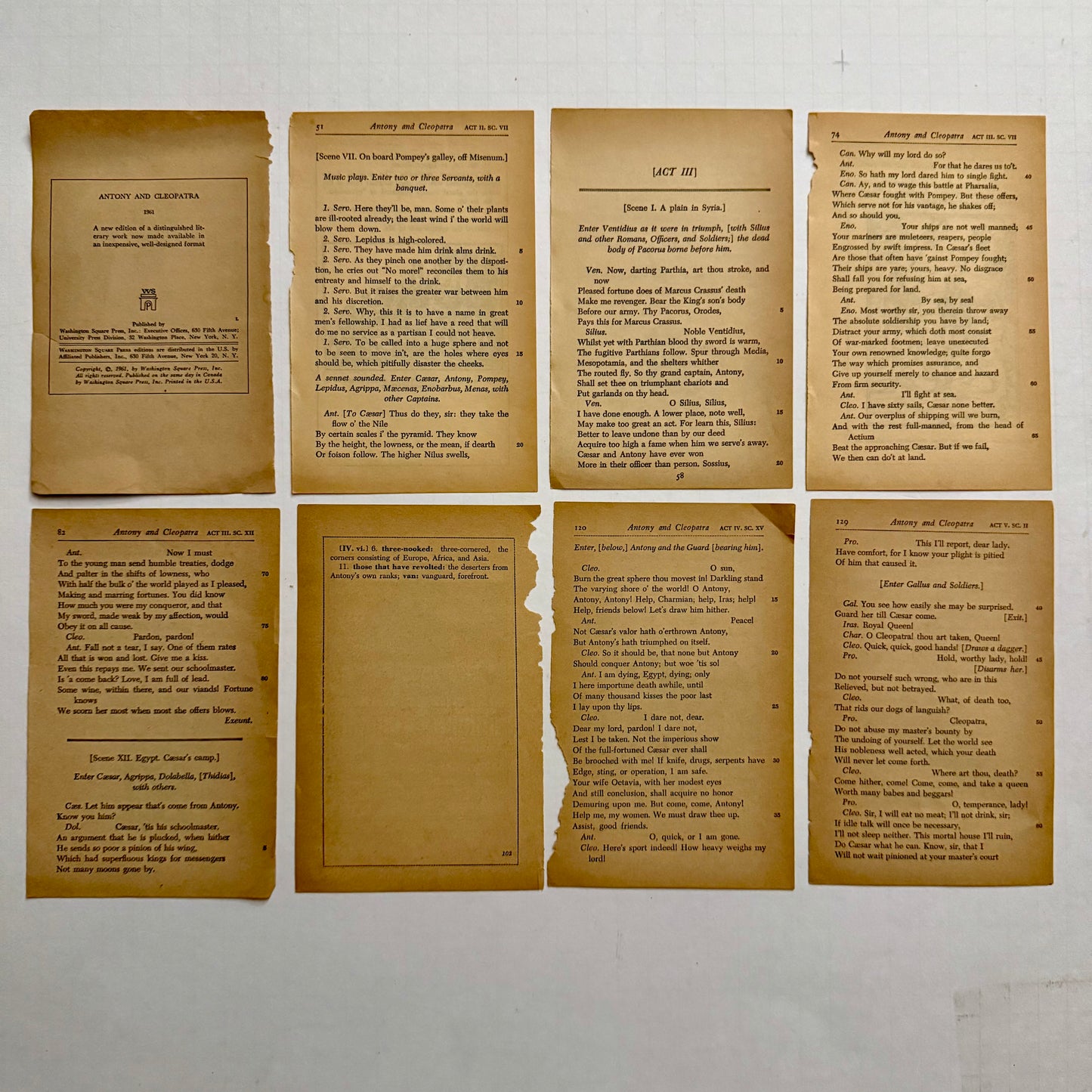 Antony and Cleopatra Vintage Shakespeare Pages — Illustrated Folger Edition | Set of 8 (c. mid-20th century)