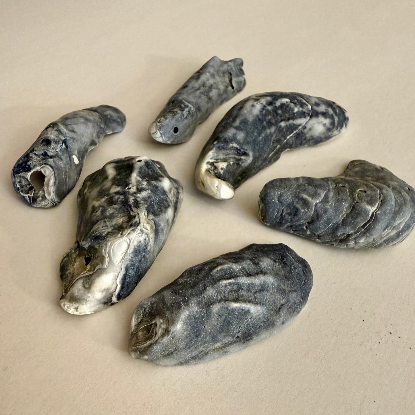 Water-Worn Oyster Shells