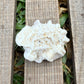 Star Coral Cluster – 1.4 oz Natural Reef Skeleton | Coastal Décor & Ocean Specimen