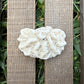 Leaf Coral Skeleton – 2 oz Natural Ocean Specimen | Sun-Bleached Reef Coral