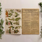 The Herbalist Almanac - 1940 Edition