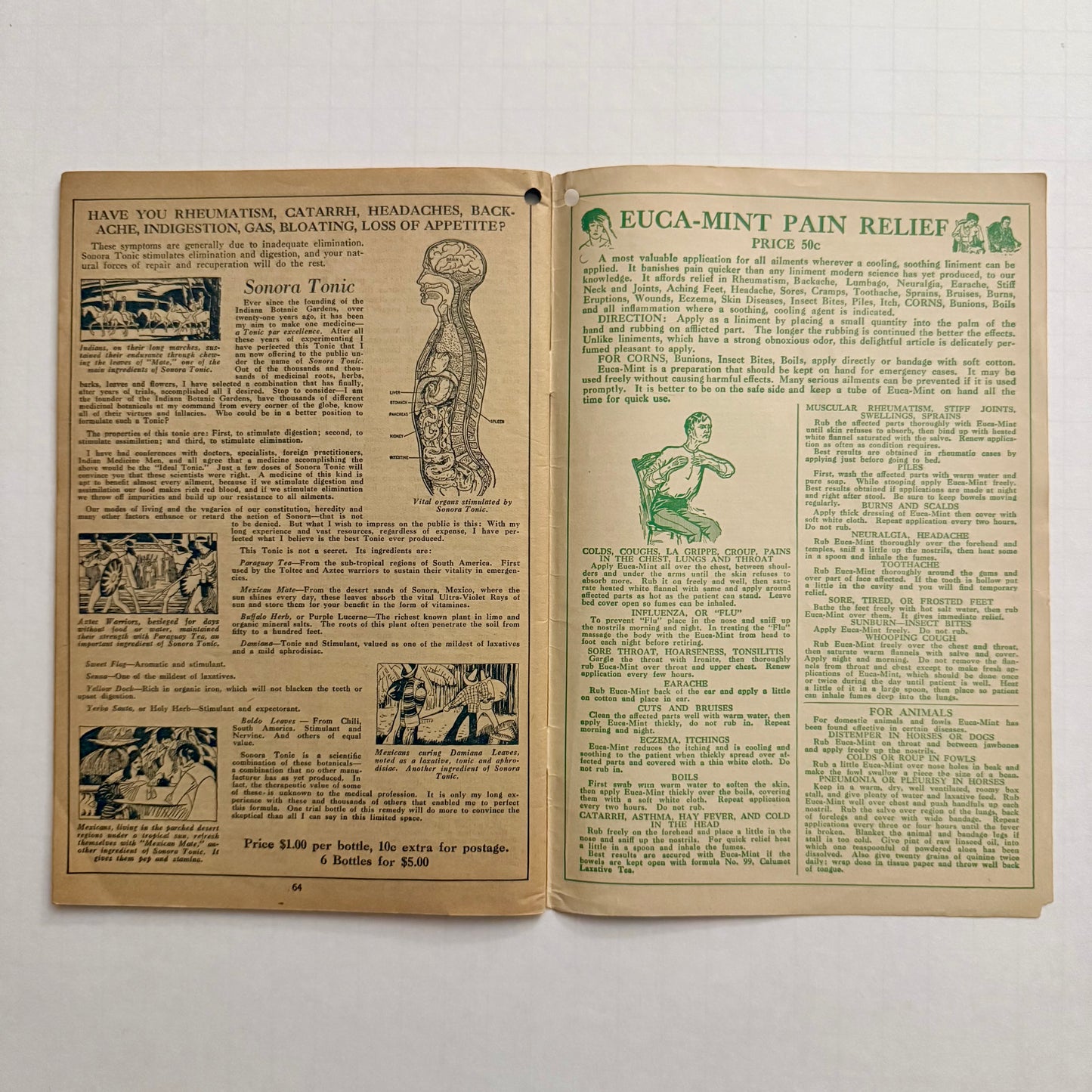 The Herbalist Almanac - 1931 Edition