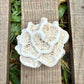 Star Coral Cluster – 1.4 oz Natural Reef Skeleton | Coastal Décor & Ocean Specimen