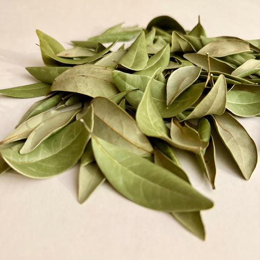 5 g Dried Red Bay Leaves (Persea borbonia)