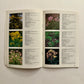 Wildflowers on North Carolina Roadsides – Official NCDOT Guidebook (Roadside Environmental Unit)