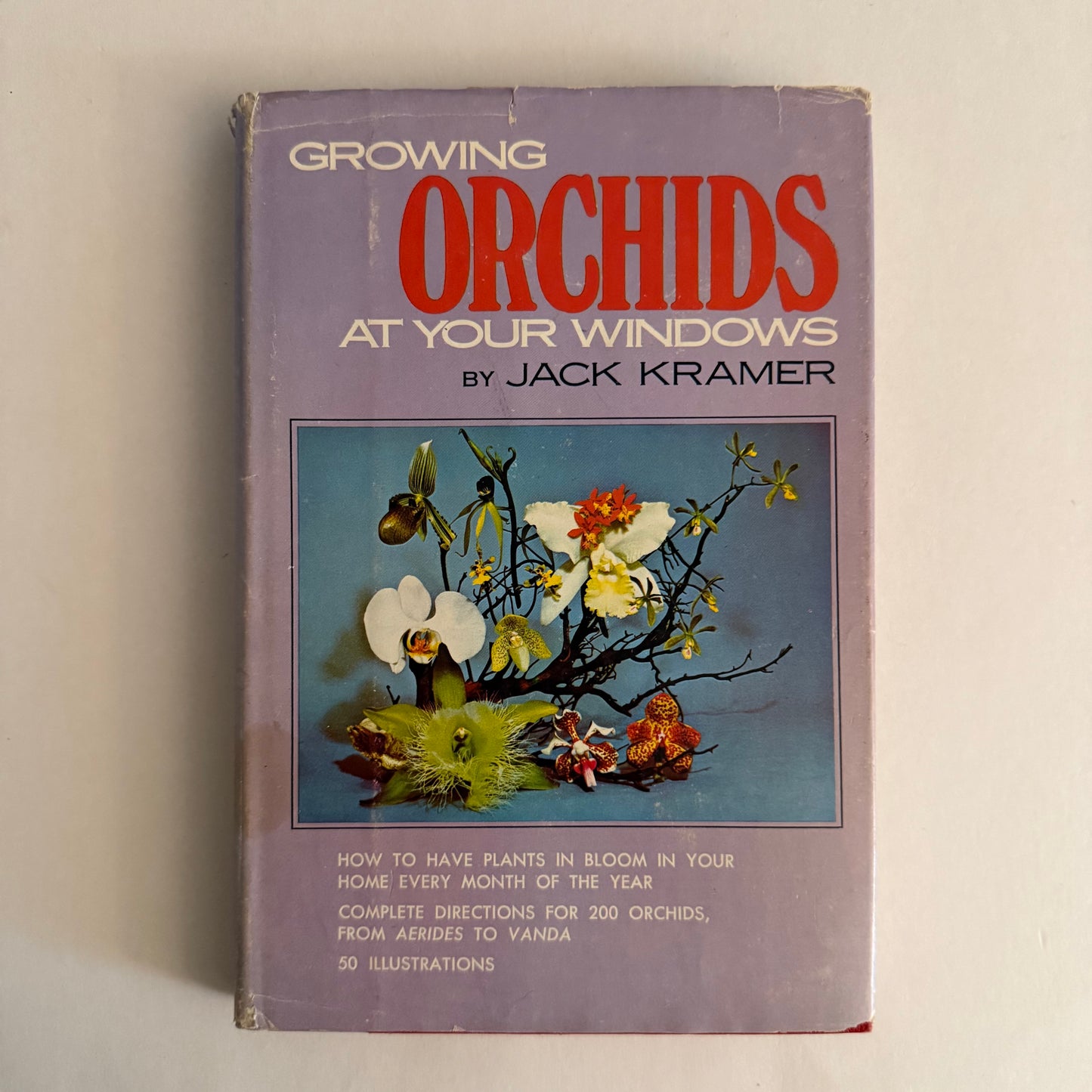 Growing Orchids at Your Windows