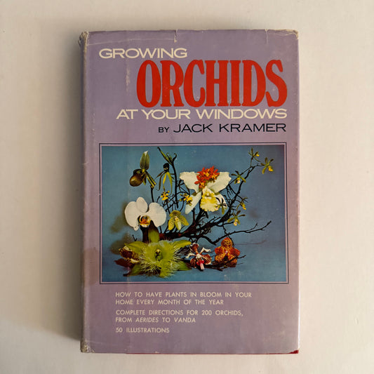 Growing Orchids at Your Windows