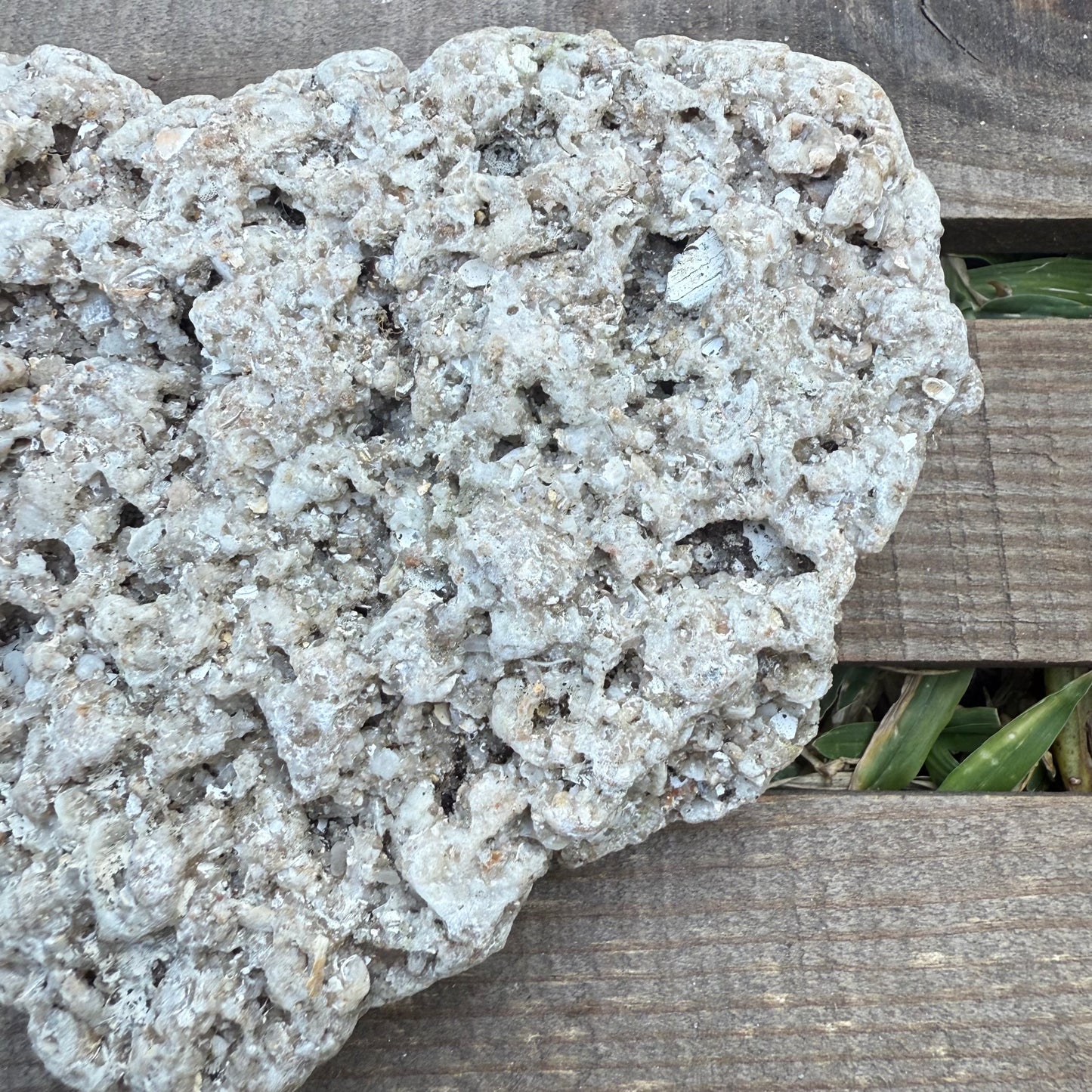 Close-up of a textured stone surface with a wooden background