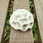 Mini Natural Coral Skeleton – 1.3 oz Star Coral | Sun-Bleached Ocean Specimen