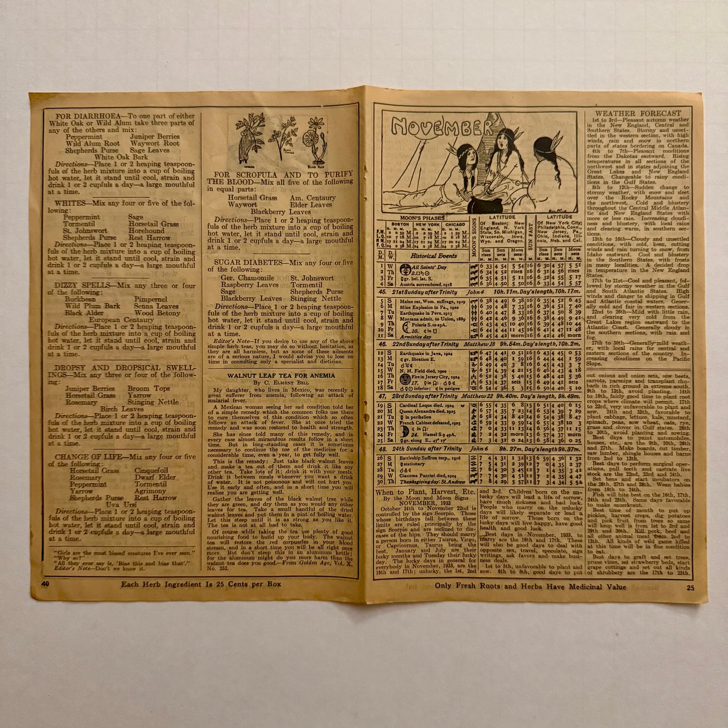 1933 Herbalist Almanac November Pages — Vintage Herbal Remedies, Moon Chart & Folk Medicine Ephemera