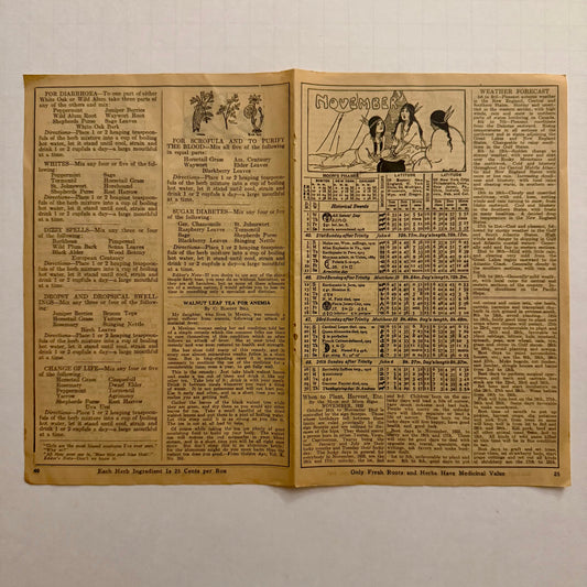 1933 Herbalist Almanac November Pages — Vintage Herbal Remedies, Moon Chart & Folk Medicine Ephemera