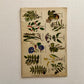 The Herbalist Almanac - 1933 Edition