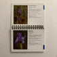 Rocky Mountain Wildflowers — Pocket Guide by David Dahms (Spiral-Bound Field Edition)