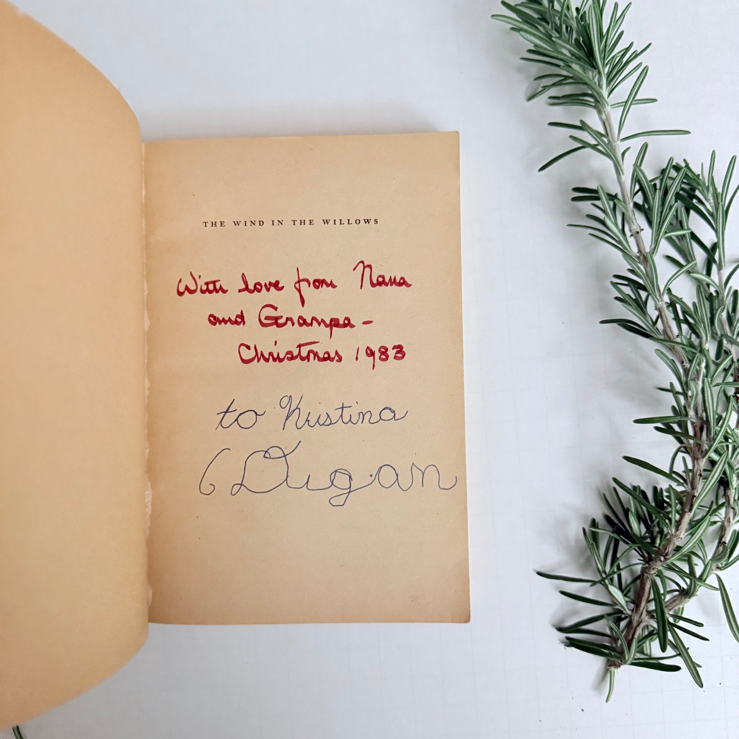 The Wind in the Willows