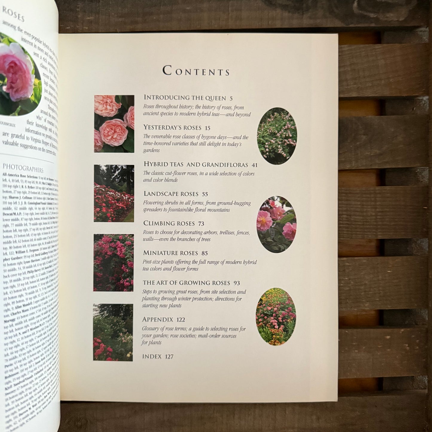 Sunset Roses – Vintage Gardening Guide to the Queen of Flowers
