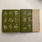 The Herbalist - 1960 Edition