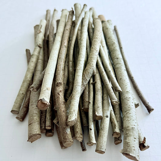 Dried Bayberry Twigs & Branches – 8 oz Bundle (4”–10” Lengths)