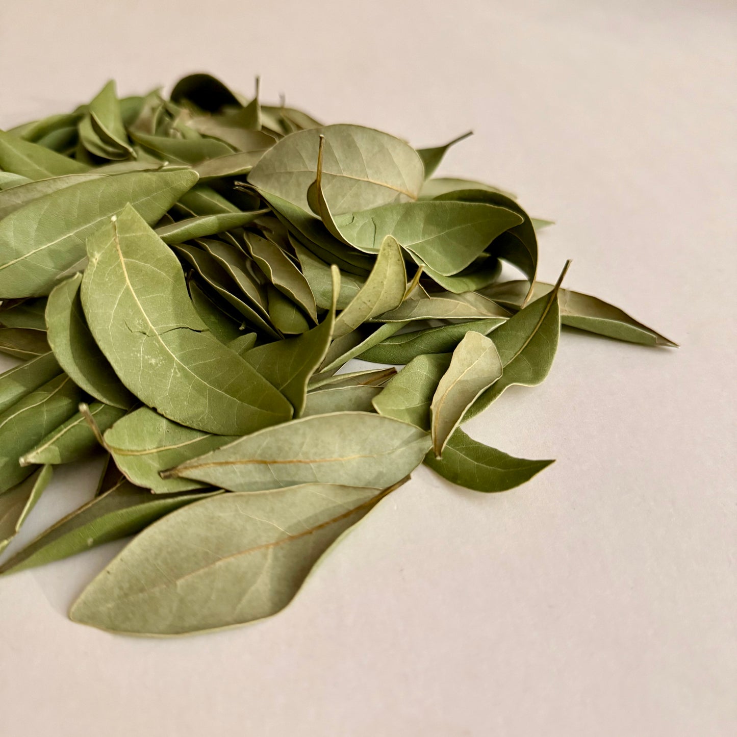 5 g Dried Red Bay Leaves (Persea borbonia)