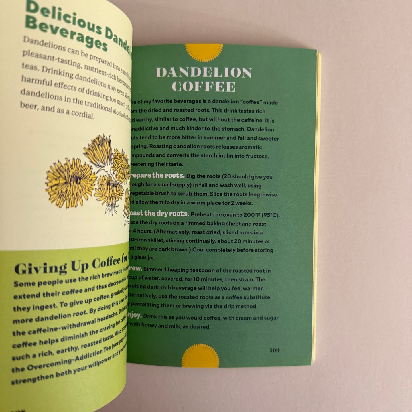 Dandelion Medicine – Forage, Feast, and Nourish Yourself with This Extraordinary Weed