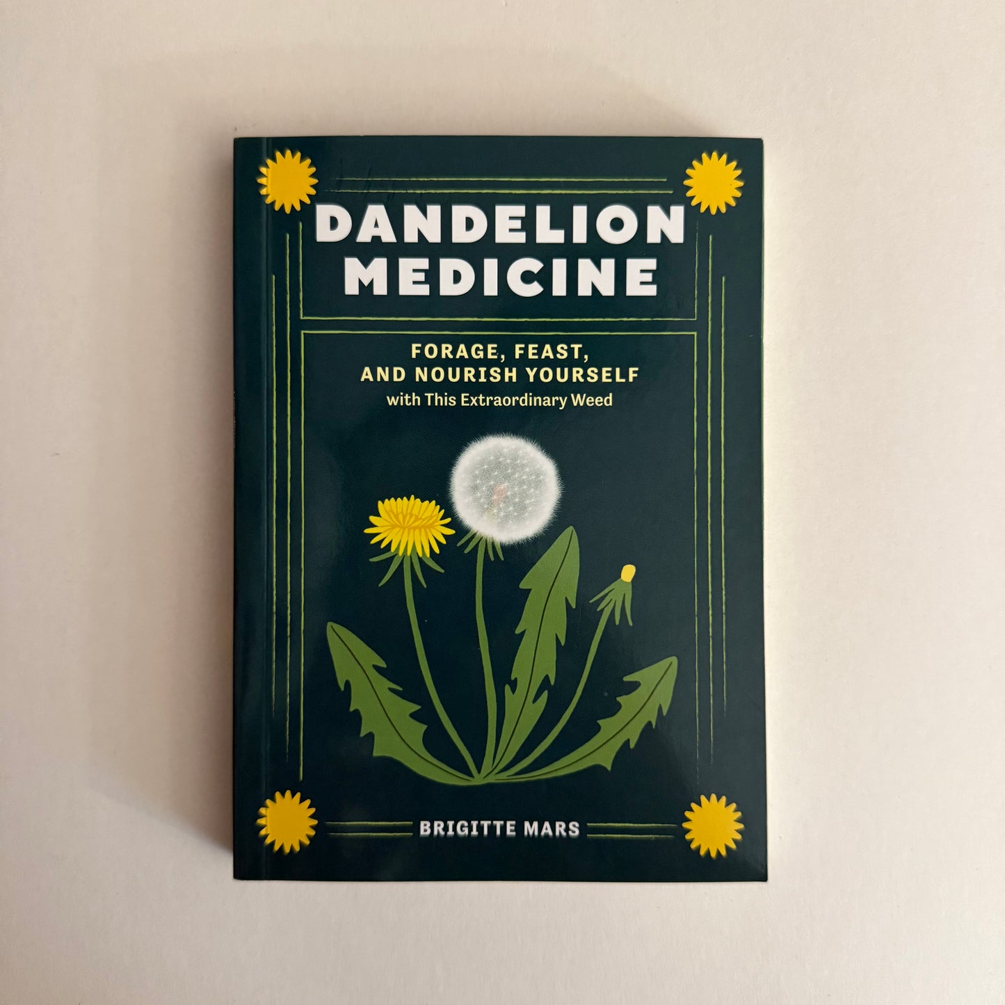 Dandelion Medicine – Forage, Feast, and Nourish Yourself with This Extraordinary Weed