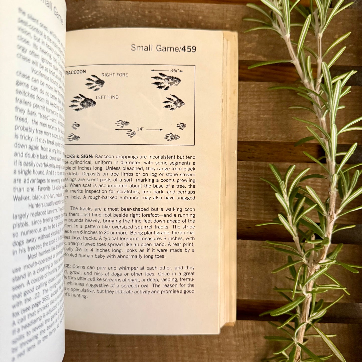 The Hunter’s Field Guide to the Game Birds and Animals of North America