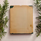 The Herbalist - 1960 Edition