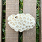 Natural Star Coral Skeleton – 3.3 oz Ocean Specimen | Sun-Bleached Coastal Décor Piece