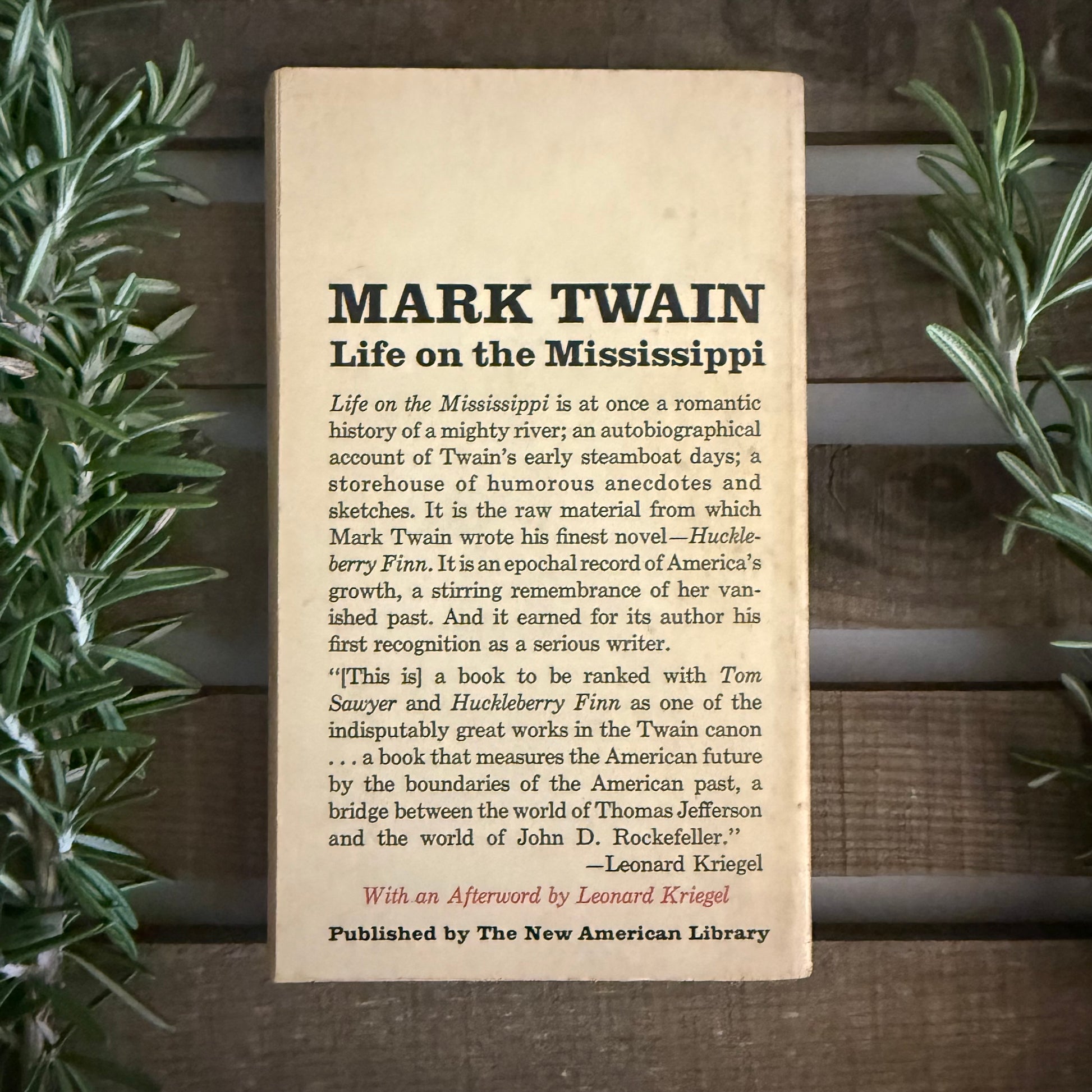 Book titled 'Life on the Mississippi' by Mark Twain on a wooden background with plants.