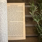Open book with text on a wooden surface next to a plant