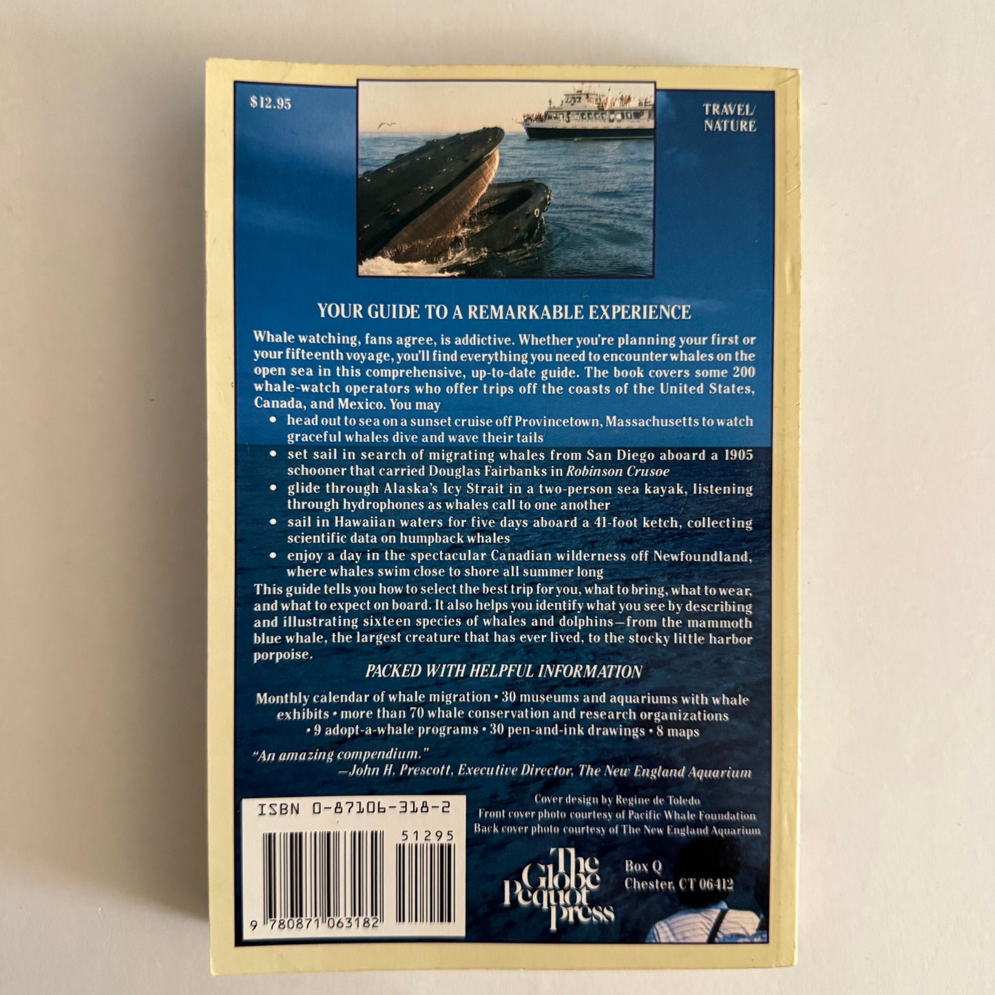 Where the Whales Are: Your Guide to Whale-Watching Trips in North America
by Patricia Corrigan (Paperback)