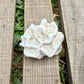 Star Coral Cluster – 1.4 oz Natural Reef Skeleton | Coastal Décor & Ocean Specimen