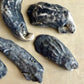 Water-Worn Oyster Shells