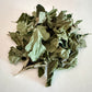Dried Beautyberry Leaves (Callicarpa americana)