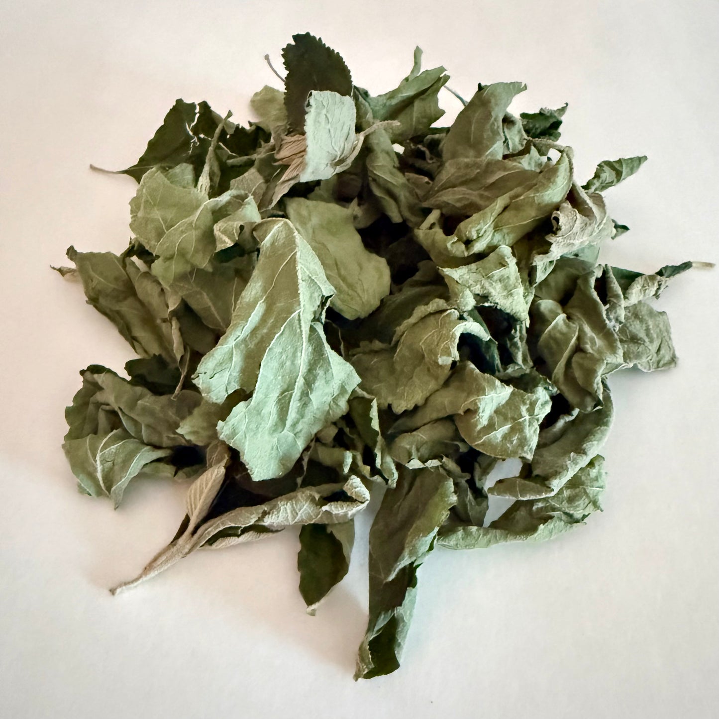 Dried Beautyberry Leaves (Callicarpa americana)