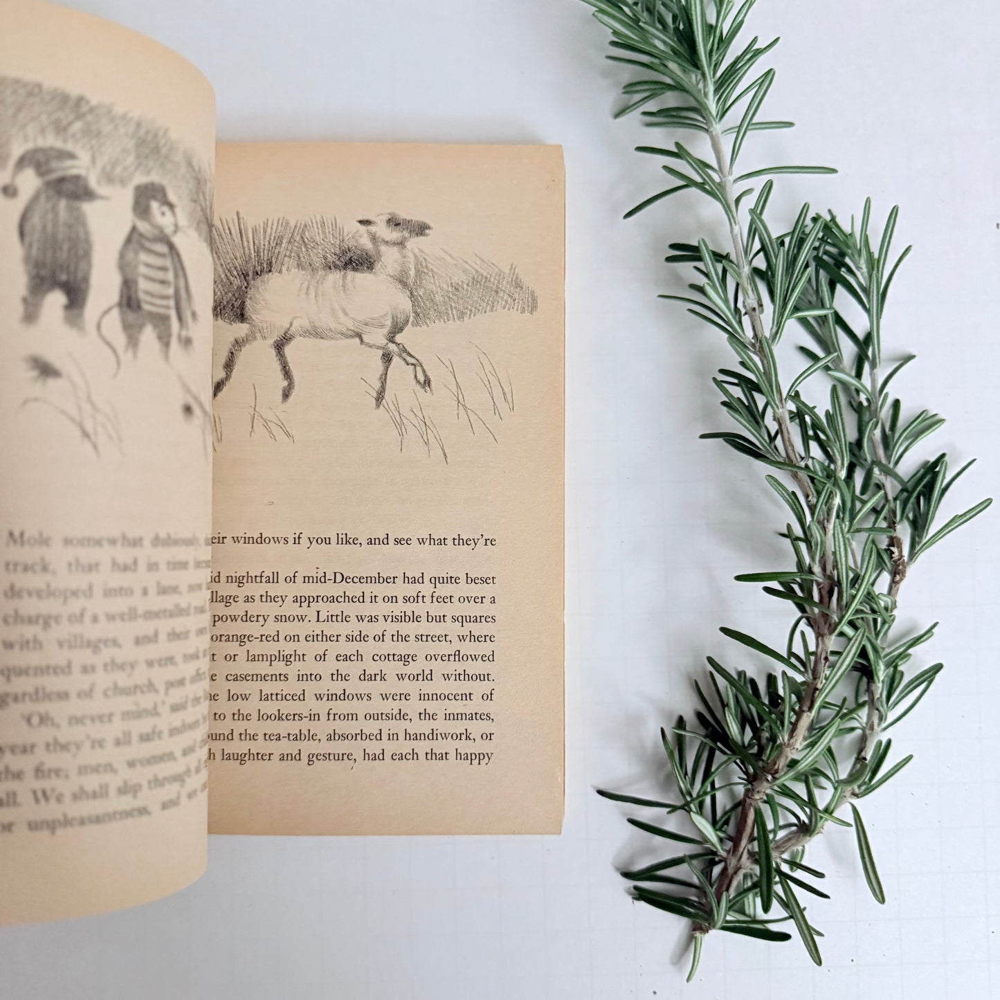 The Wind in the Willows