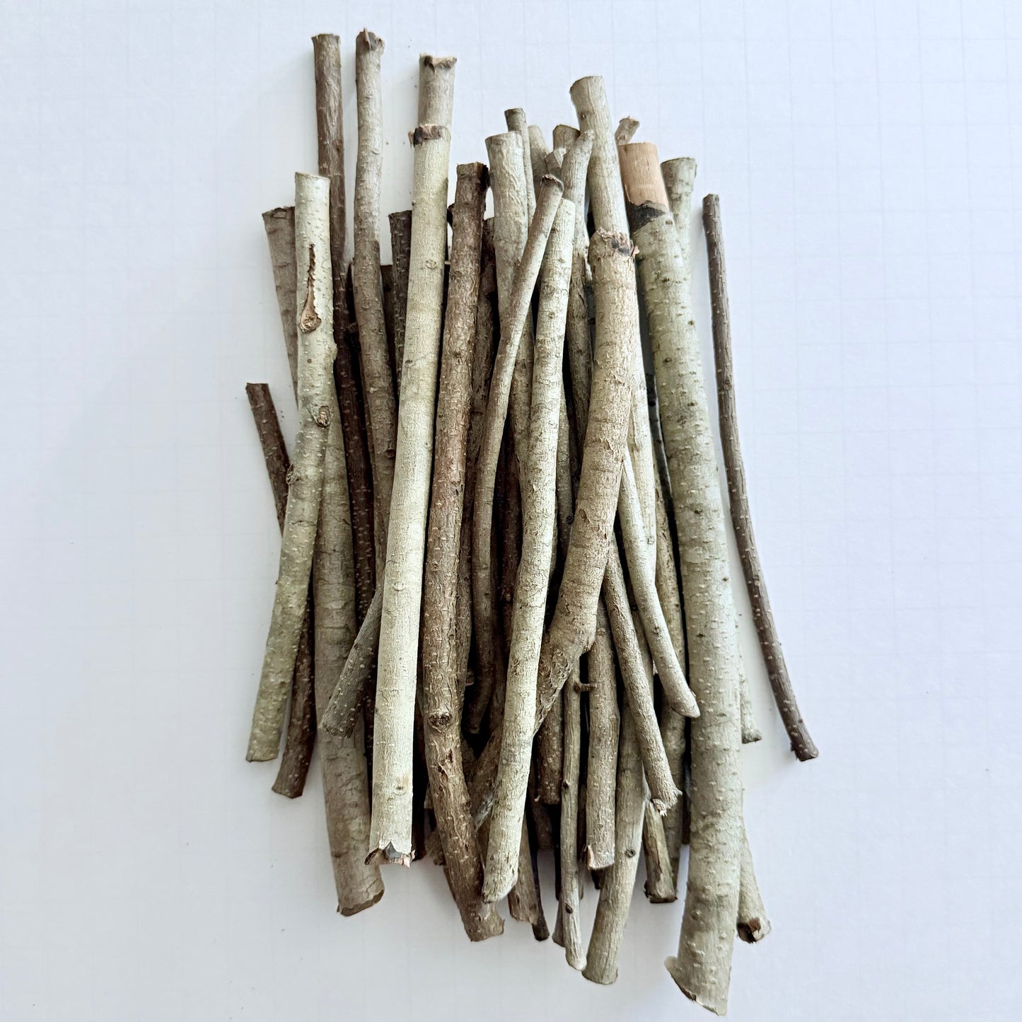 Dried Bayberry Twigs & Branches – 8 oz Bundle (4”–10” Lengths)