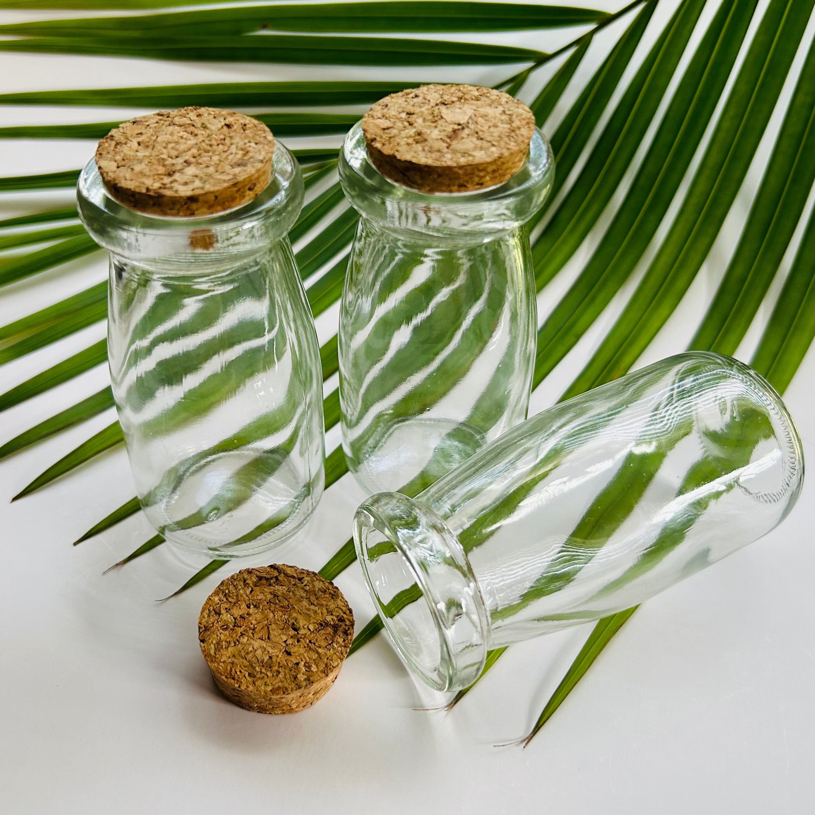 SET OF 6 SPICE JARS WITH CORK LID 3OZ EACH