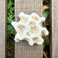 Mini Star Coral Skeleton – 1.1 oz Natural Ocean Specimen | Sun-Bleached Reef Coral