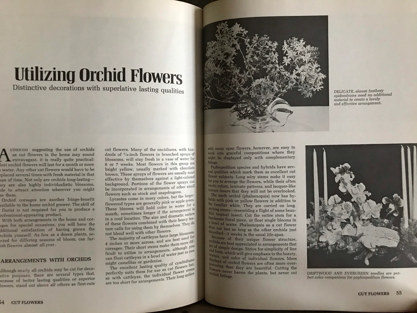 How to Grow Orchids (used)