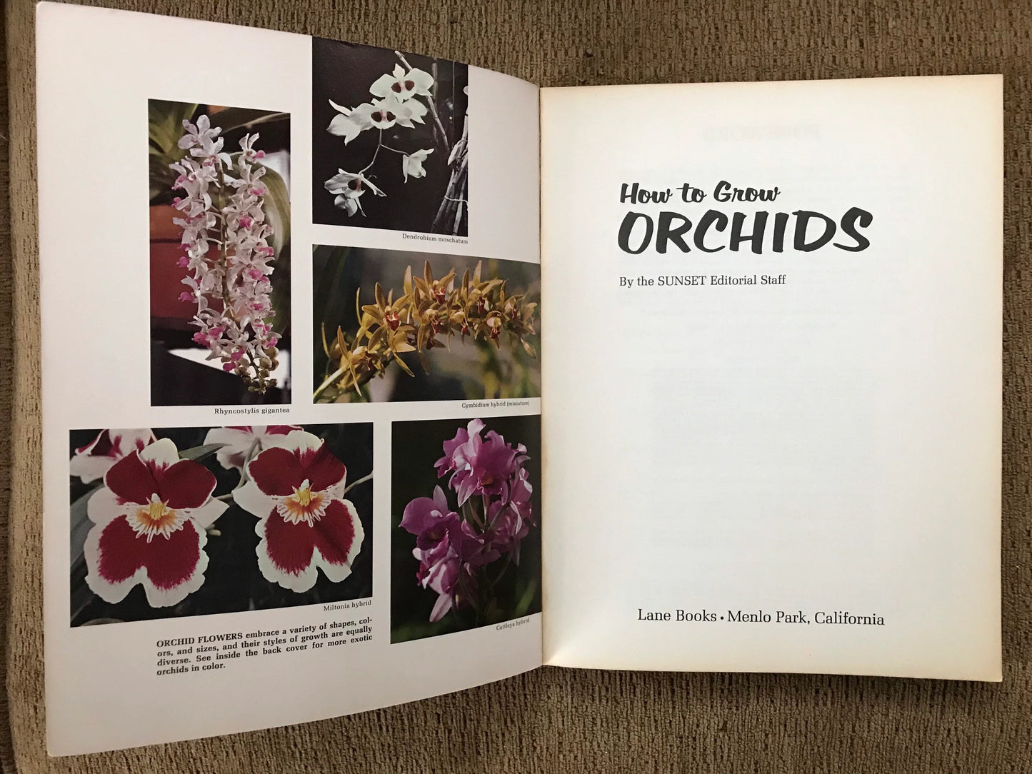 How to Grow Orchids (used)