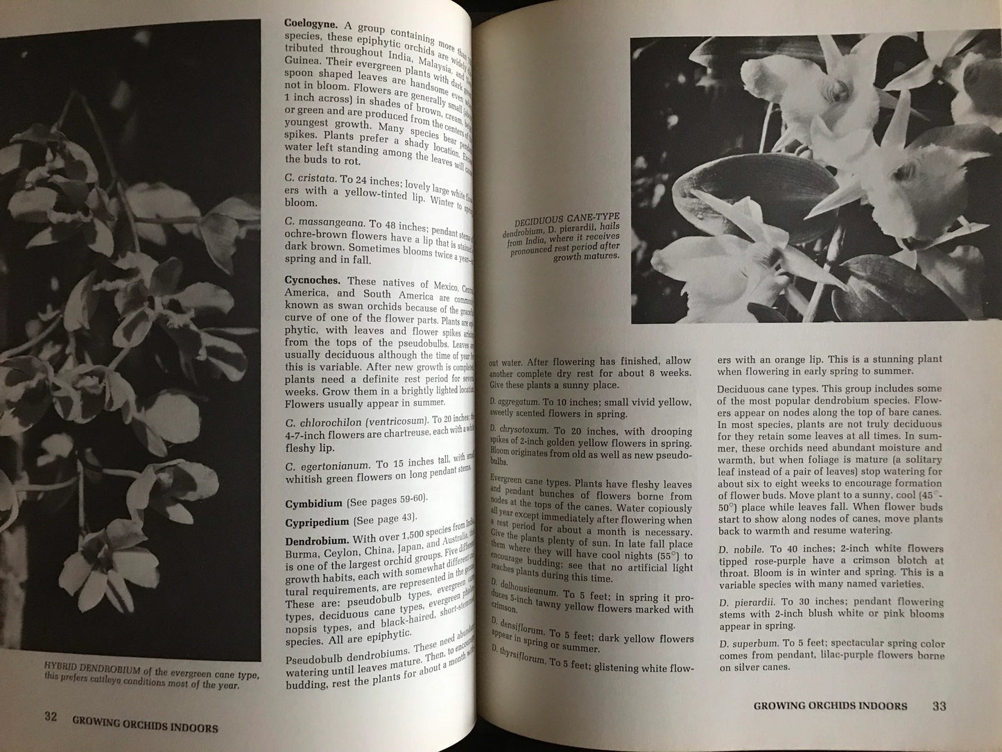 How to Grow Orchids (used)