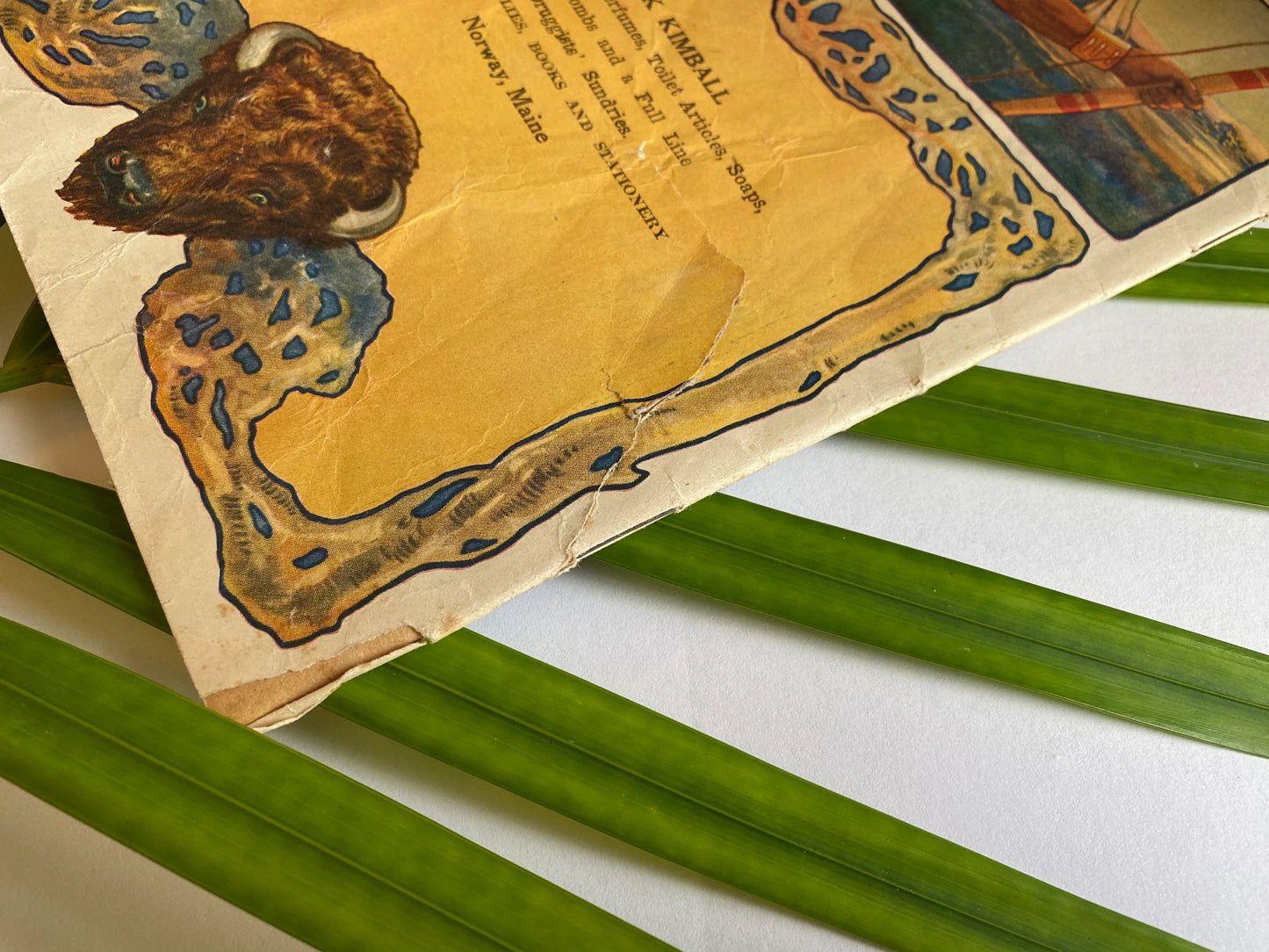 Dr. Kilmer’s Swamp-Root Almanac - 1920 Edition - with Original Medicine Bottle