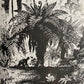 The Plant Hunters (used)