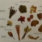 Flower Craft (used)