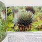 Africa Travel Guides, 5 Book Set, including 1 signed by author (used)