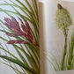 Wild Flowers of America (used)